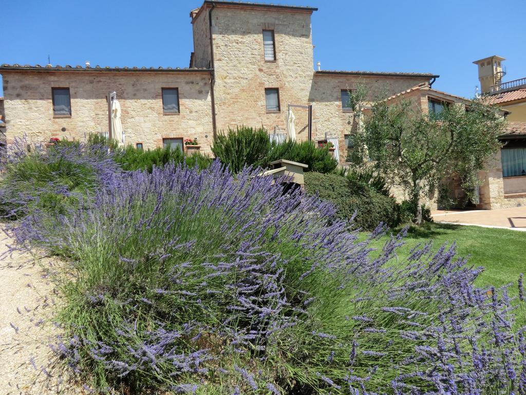 منزل الضيف كولّي فال ديلسا  في La Pieve Di San Martino المظهر الخارجي الصورة
