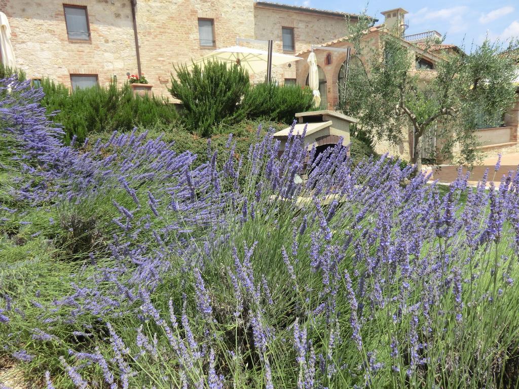 منزل الضيف كولّي فال ديلسا  في La Pieve Di San Martino المظهر الخارجي الصورة
